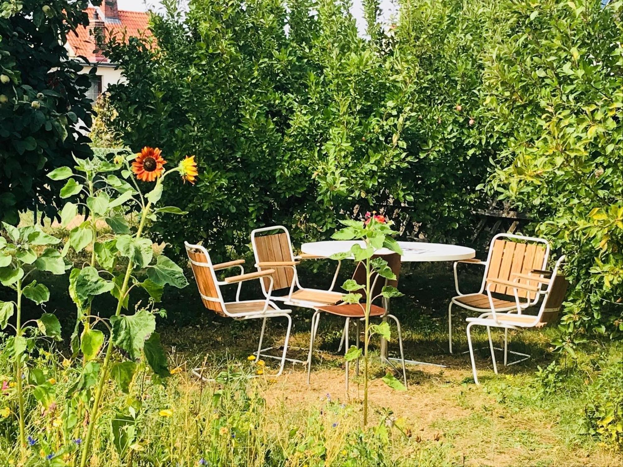 Casa Marcu Wohnung 1 Og Landkirchen Eksteriør bilde